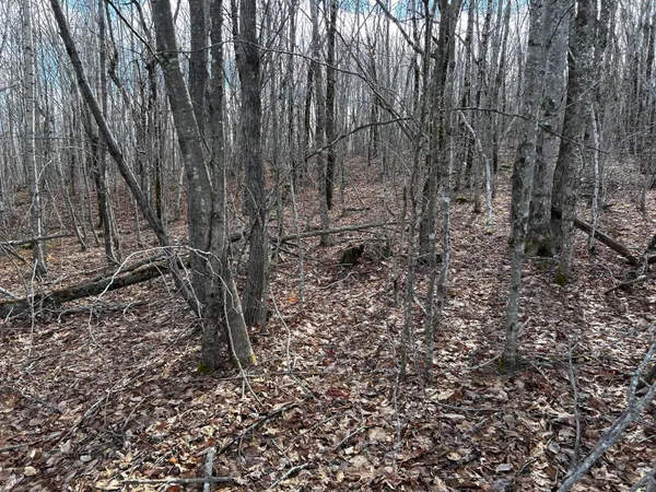 $269,000 | Map8-lot6 Map8-lot6 Cmp, Frankfort, ME 04438