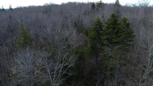 $269,000 | Map8-lot6 Map8-lot6 Cmp, Frankfort, ME 04438