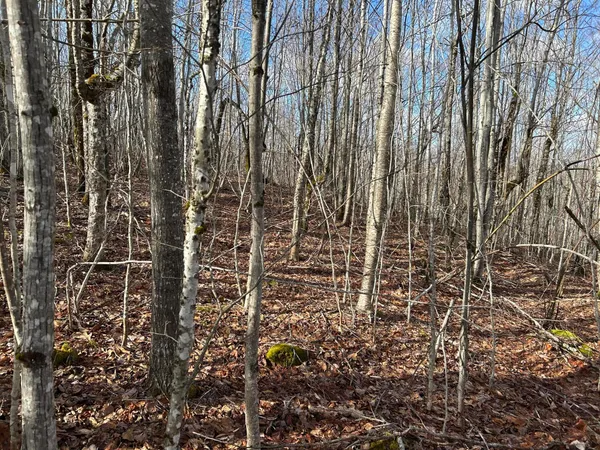 $269,000 | Map8-lot6 Map8-lot6 Cmp, Frankfort, ME 04438