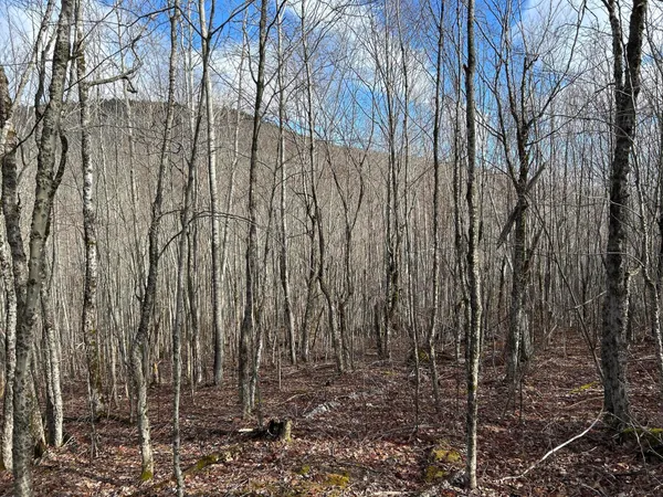 $269,000 | Map8-lot6 Map8-lot6 Cmp, Frankfort, ME 04438