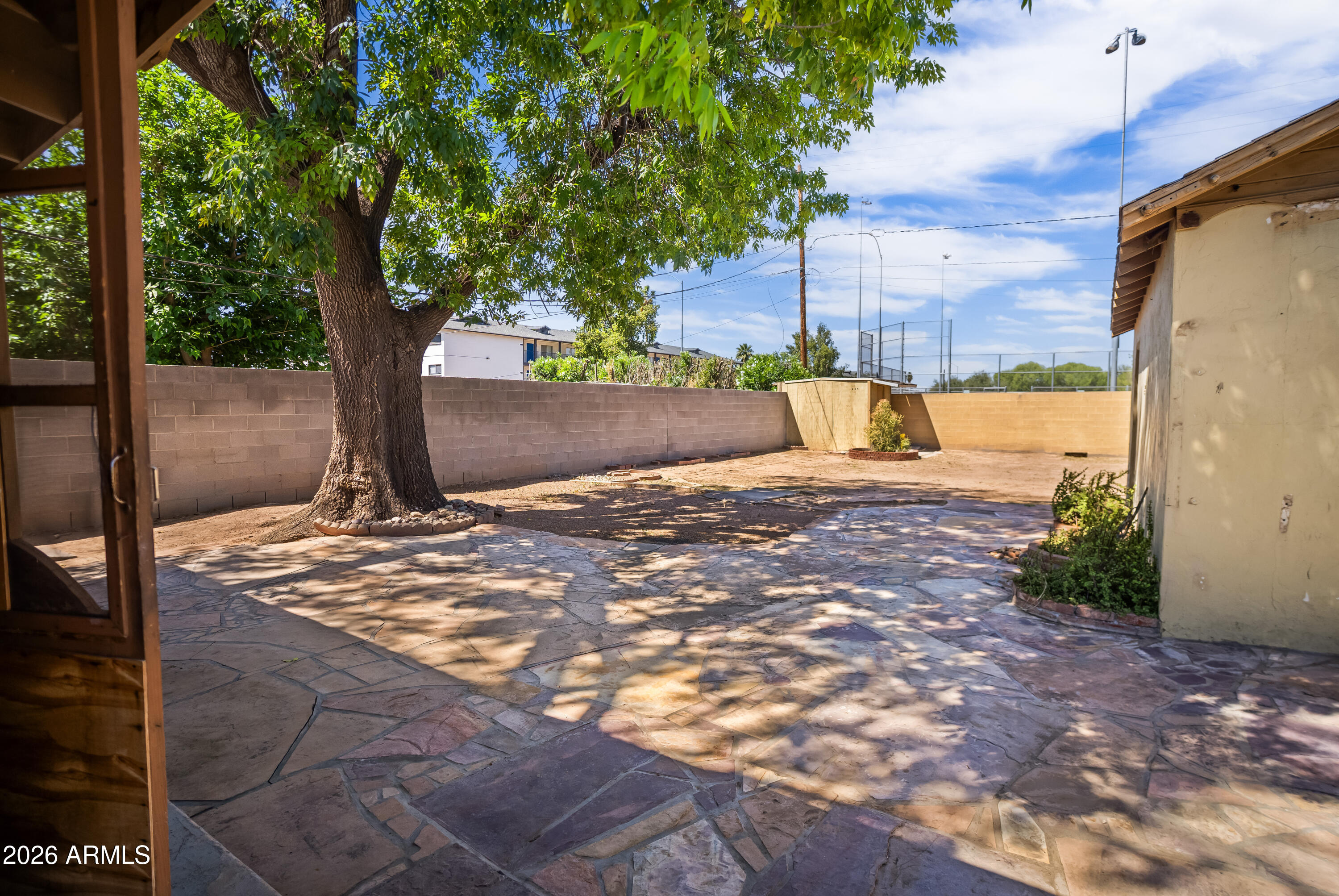 508 North Robson Mesa, AZ 85201 - Photo 12 of 19 a view of a yard with a tree
