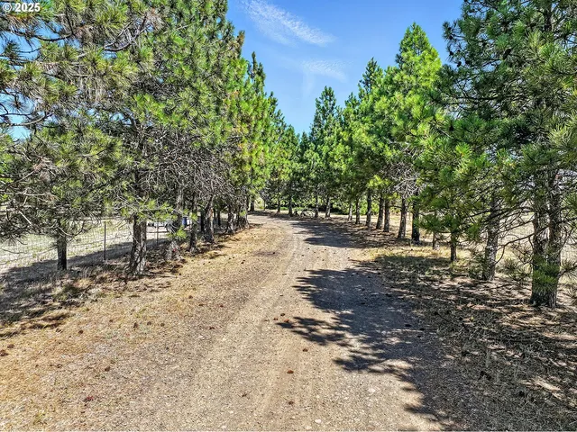 a view of road with trees