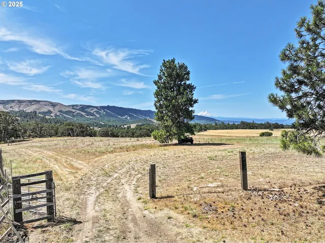a view of an ocean beach