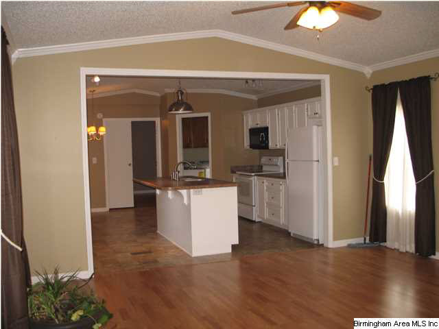 4276 Dry Creek Road Pell City, AL 35128 - Photo 4 of 20