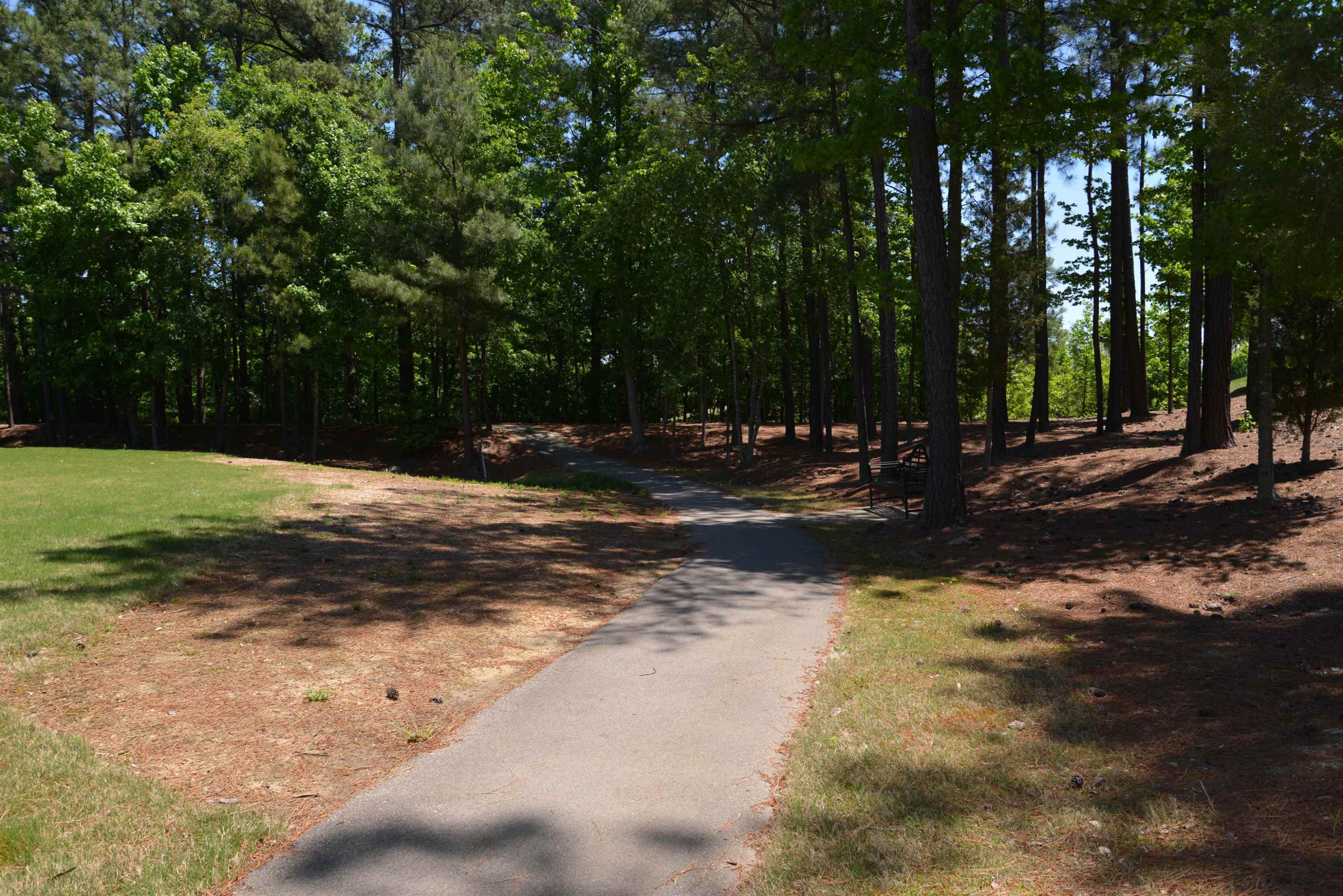 8533 Quarton Drive Raleigh, NC 27616 - Photo 8 of 20 a view of a street with a yard