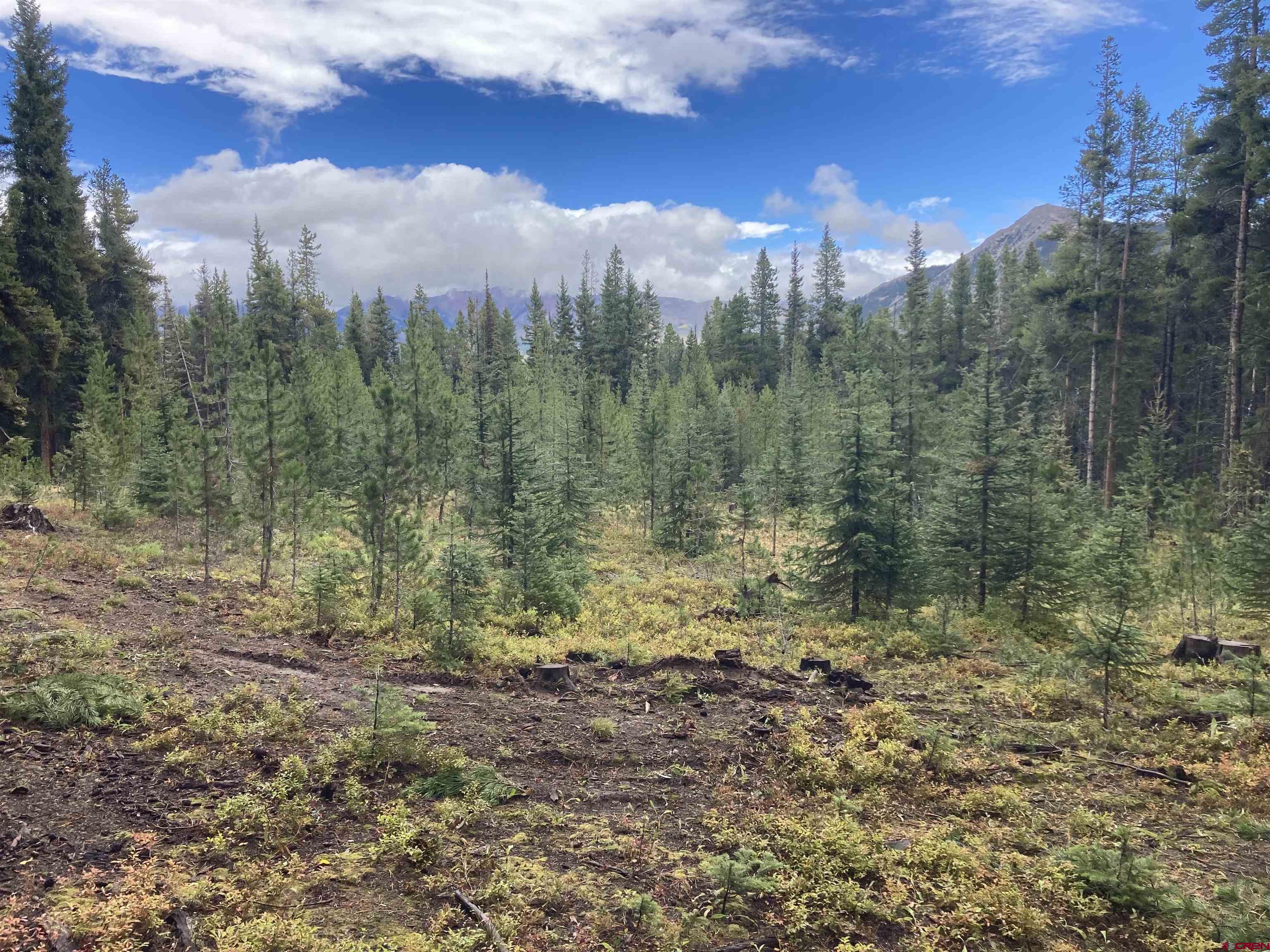 Saddle Ridge Road Crested Butte, CO 81224 - Photo 11 of 18 a view of a city with lush green forest