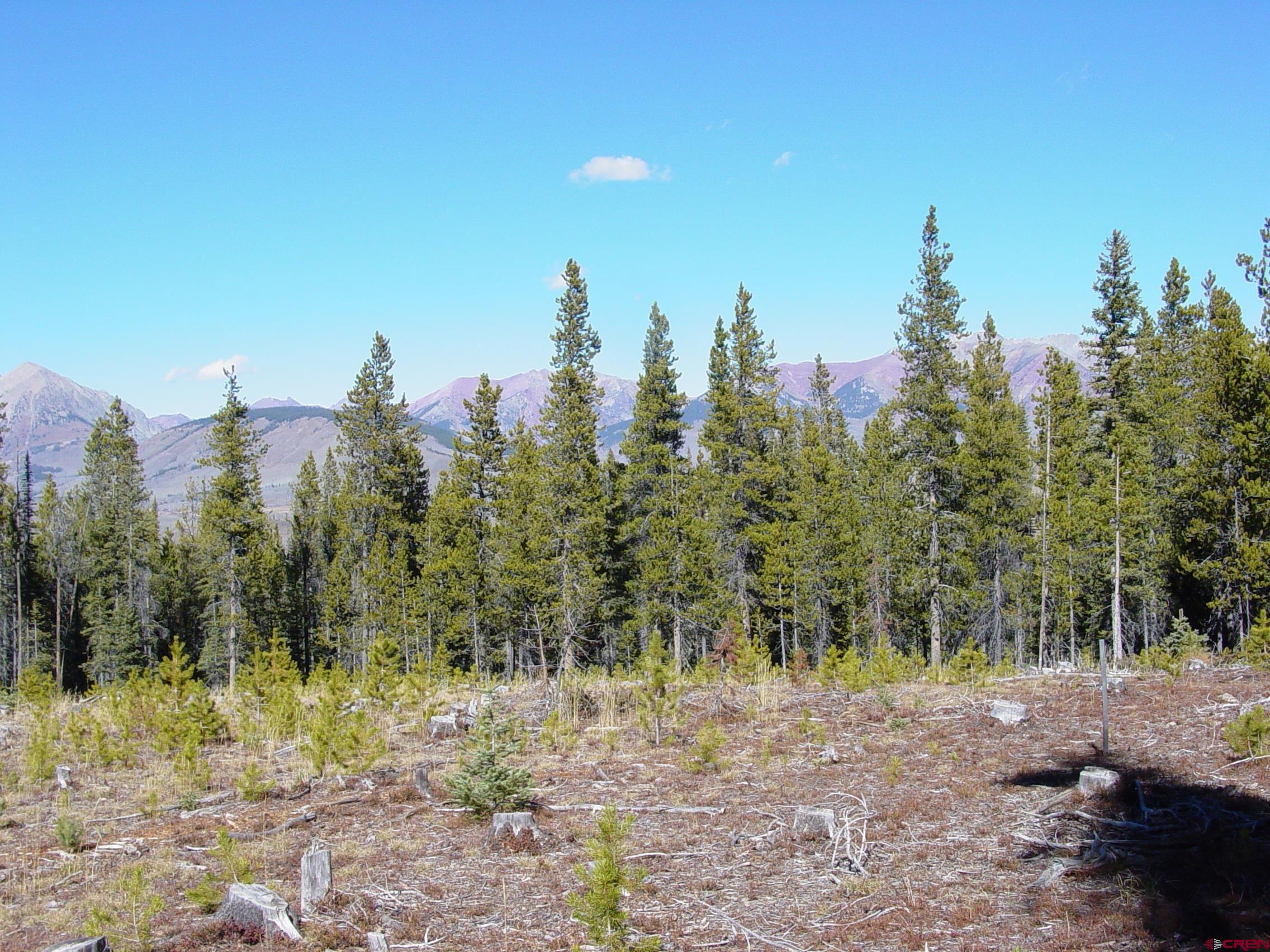 Saddle Ridge Road Crested Butte, CO 81224 - Photo 12 of 18 a view of a covered with trees in the background