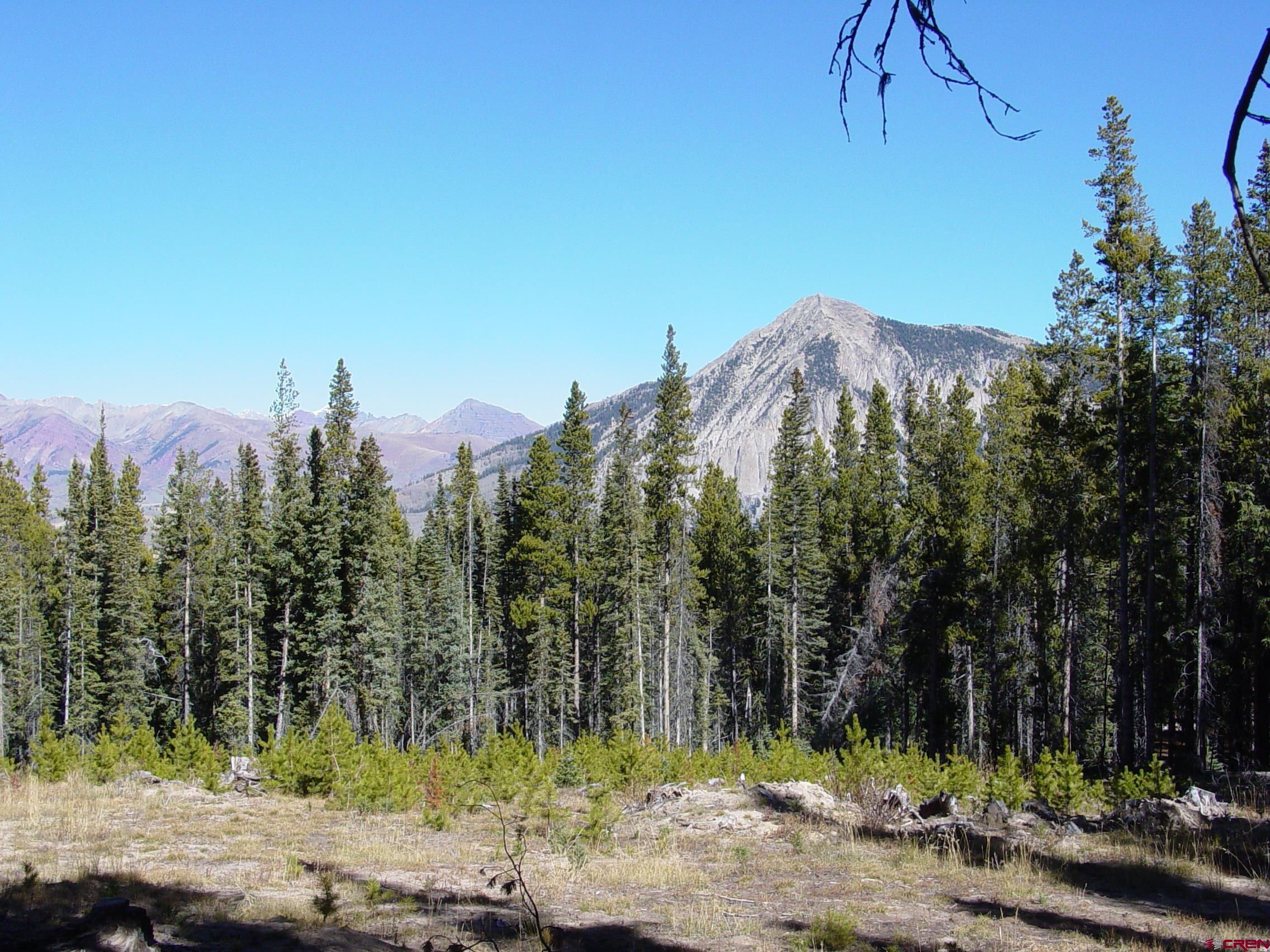 Saddle Ridge Road Crested Butte, CO 81224 - Photo 13 of 18 a view of a road with a tree