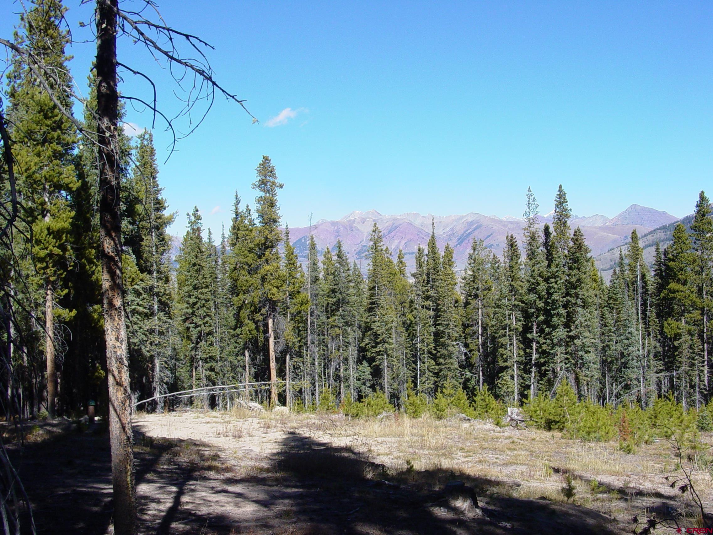 Saddle Ridge Road Crested Butte, CO 81224 - Photo 14 of 18 a view of a city with tall trees