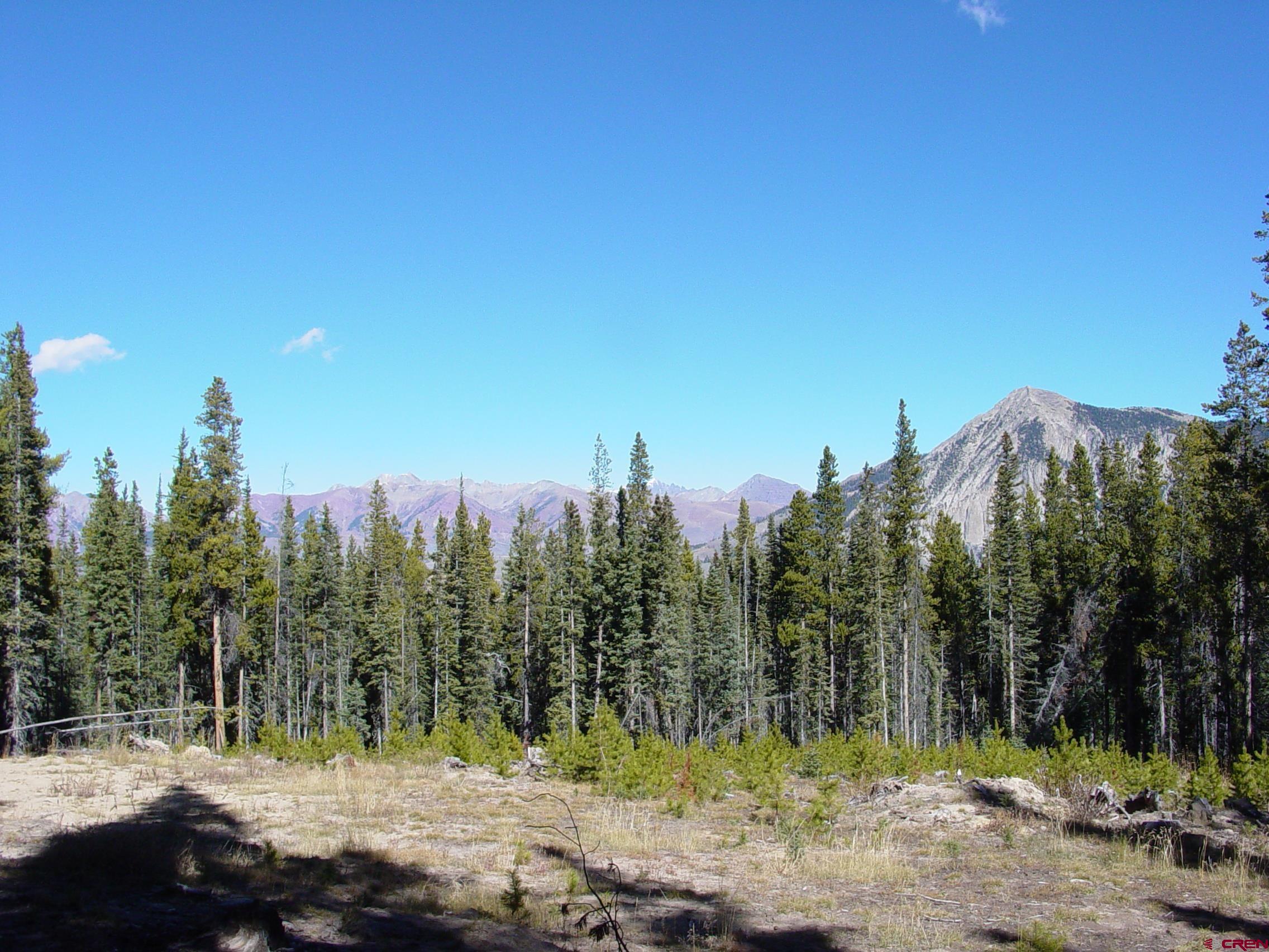 Saddle Ridge Road Crested Butte, CO 81224 - Photo 15 of 18 a view of a yard with a trees in the background