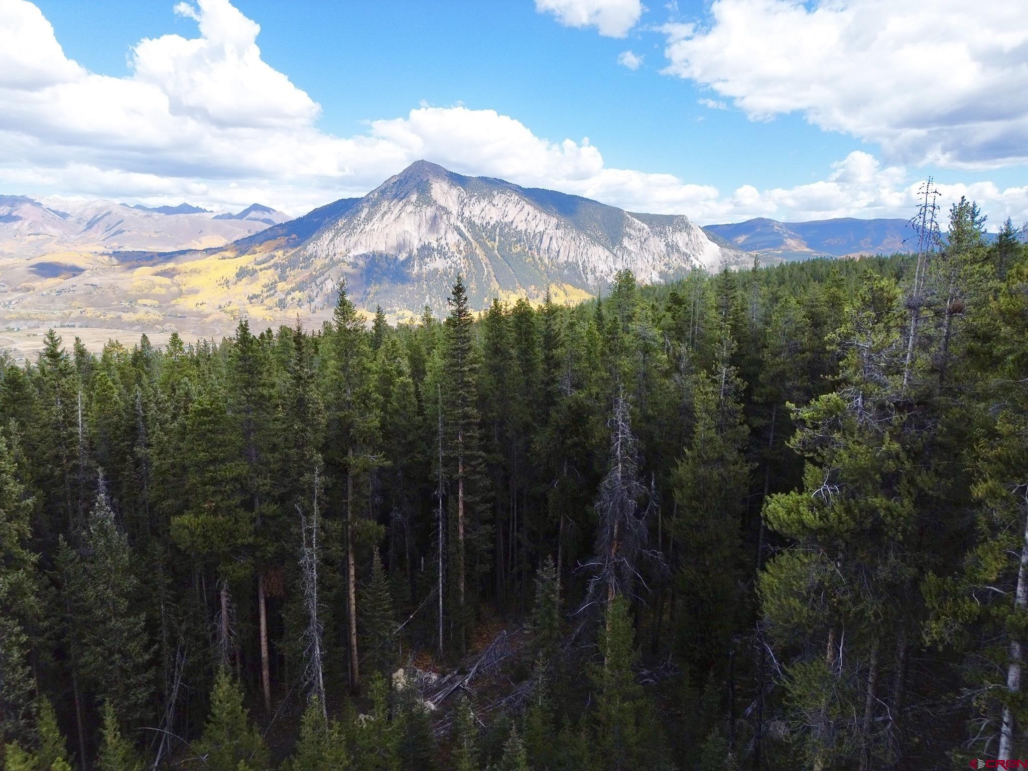 Saddle Ridge Road Crested Butte, CO 81224 - Photo 4 of 18 a view of a city with lush green forest