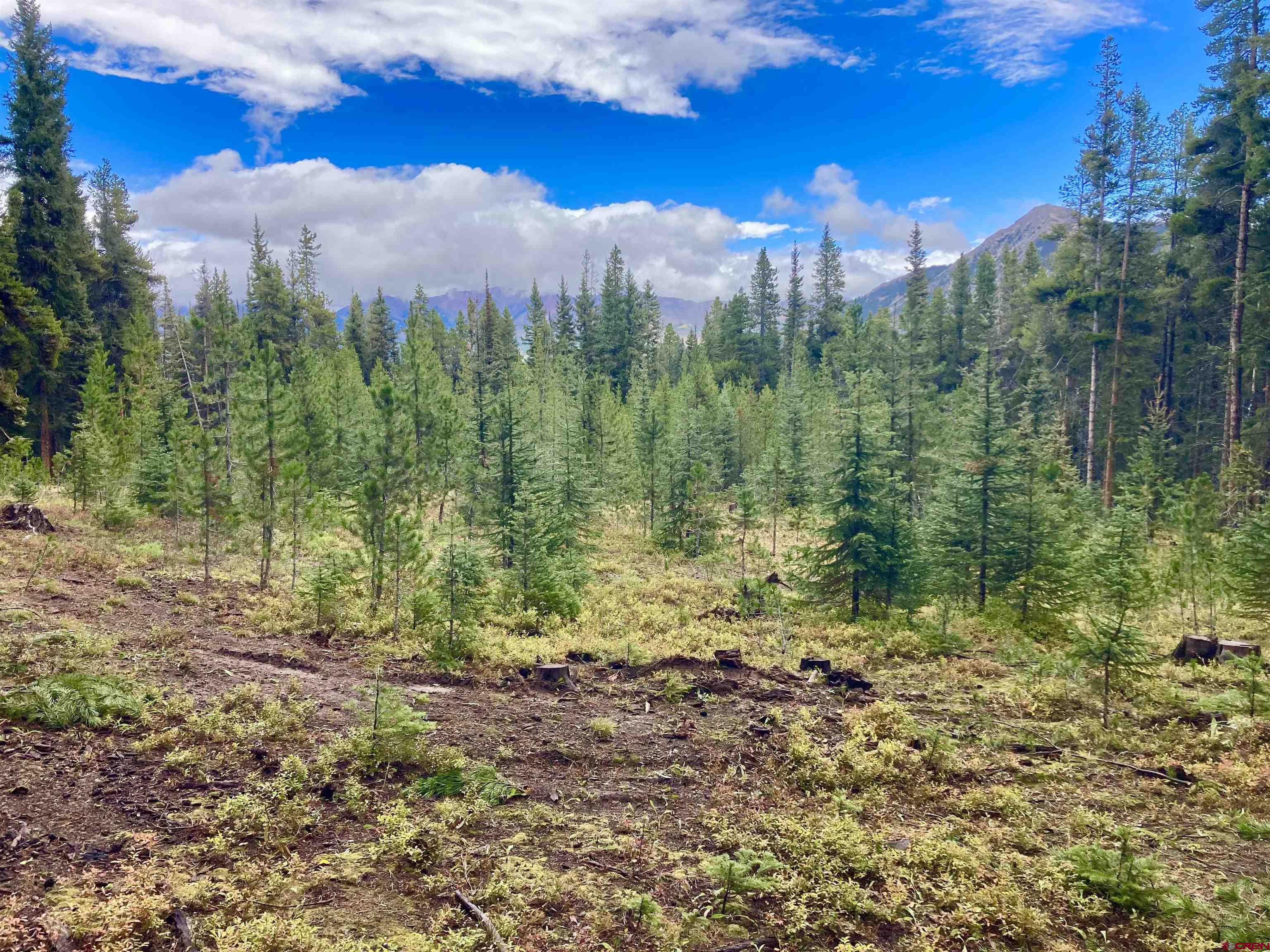 Saddle Ridge Road Crested Butte, CO 81224 - Photo 8 of 18 a view of a city with lush green forest