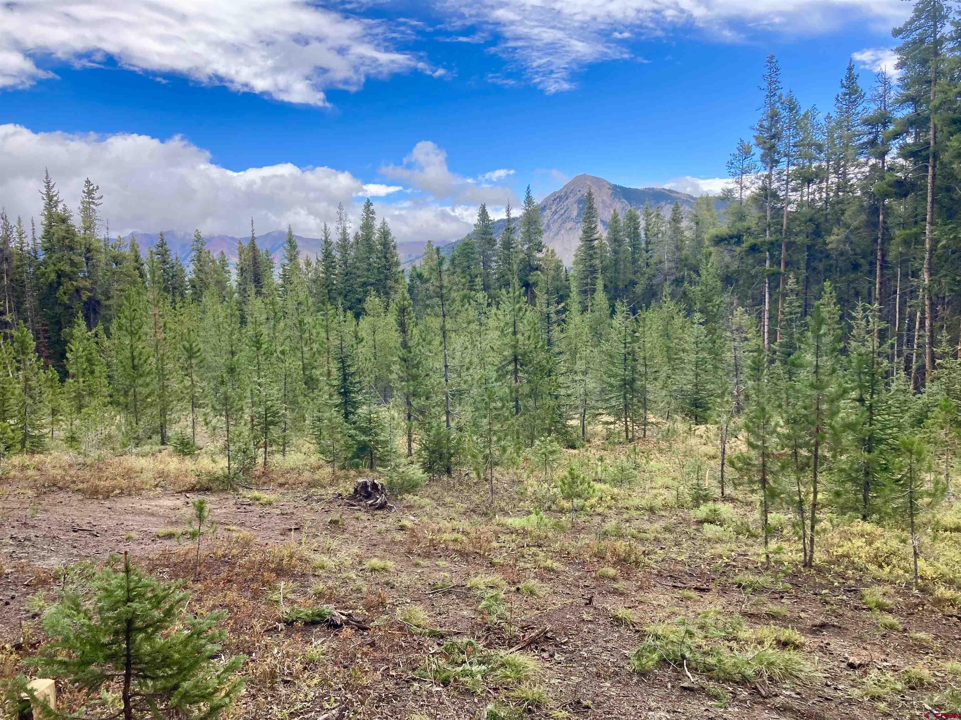 Saddle Ridge Road Crested Butte, CO 81224 - Photo 9 of 18 a view of a lake with a city