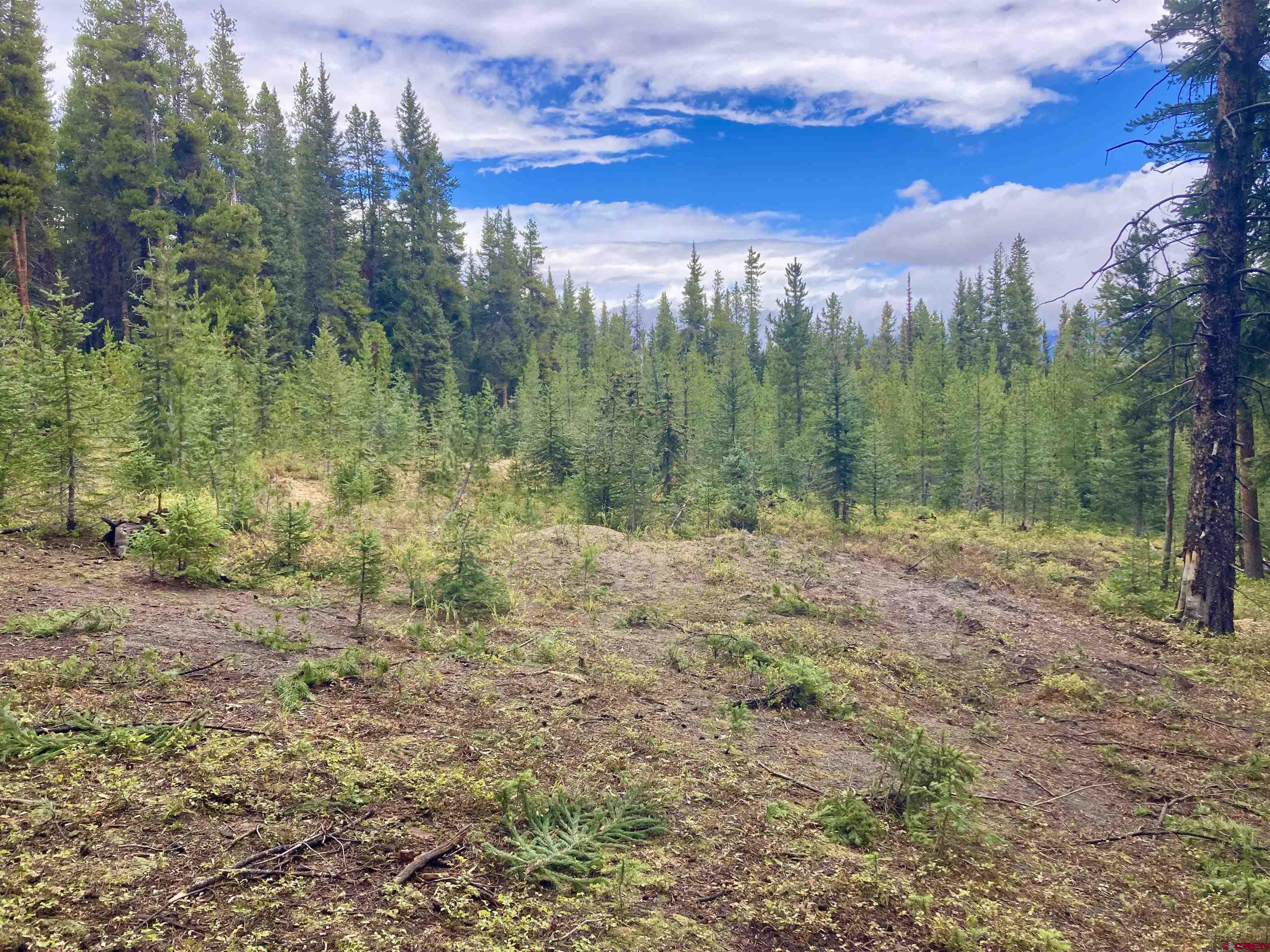 Saddle Ridge Road Crested Butte, CO 81224 - Photo 10 of 18 a view of a yard with trees in the background