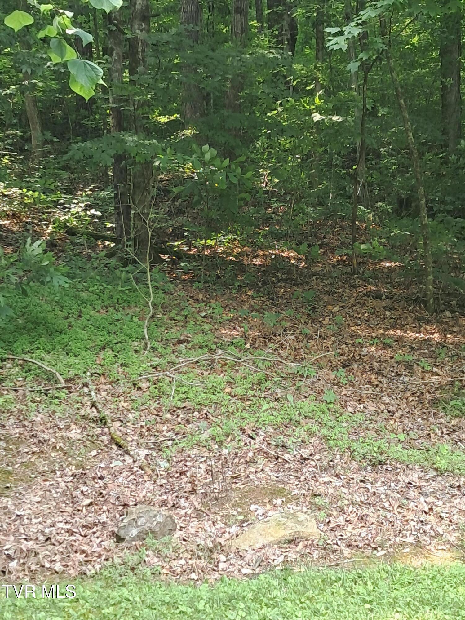 860 Bales Road Mosheim, TN 37818 - Photo 20 of 54 20250531_120842