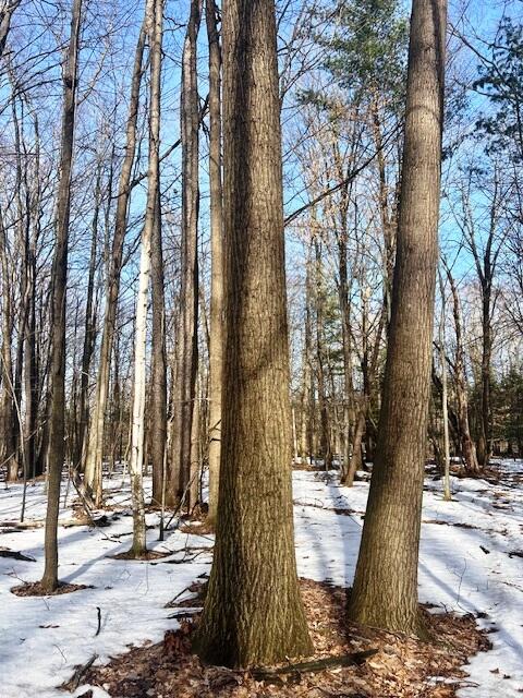 0 West Adams Road Hesperia, MI 49421 - Photo 50 of 74