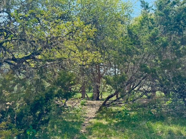 140 Spring Branch Drive Leakey, TX 78873 - Photo 22 of 23
