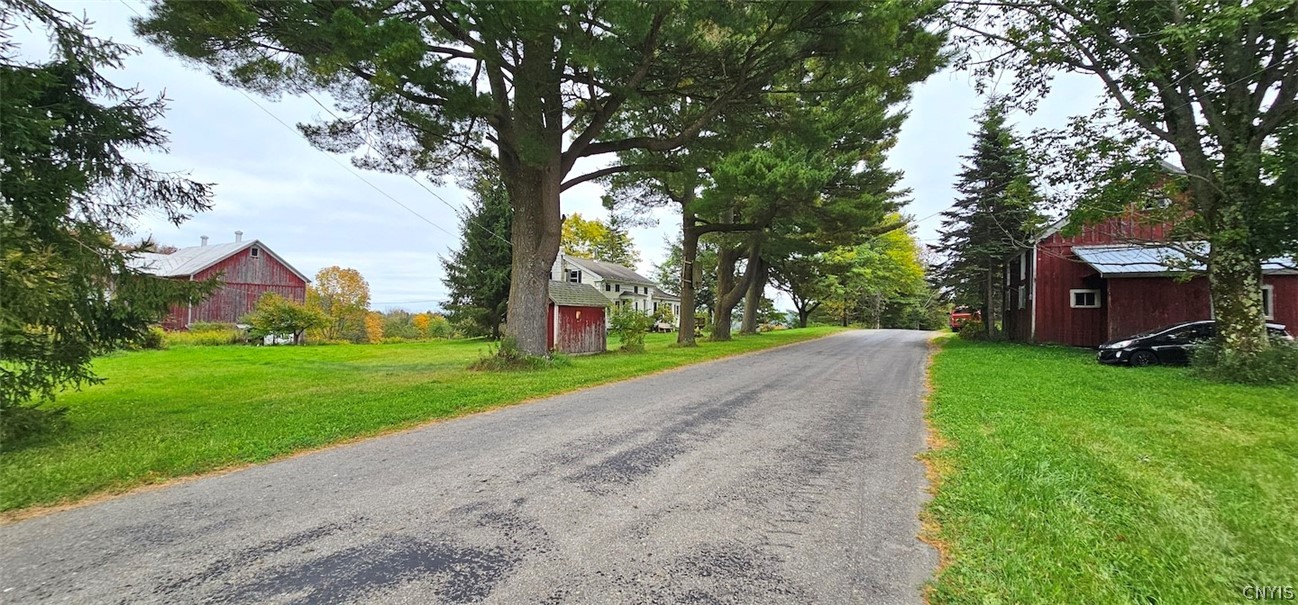 5099 Conrad Road Willet, NY 13040 - Photo 4 of 50 Gallery Image 4