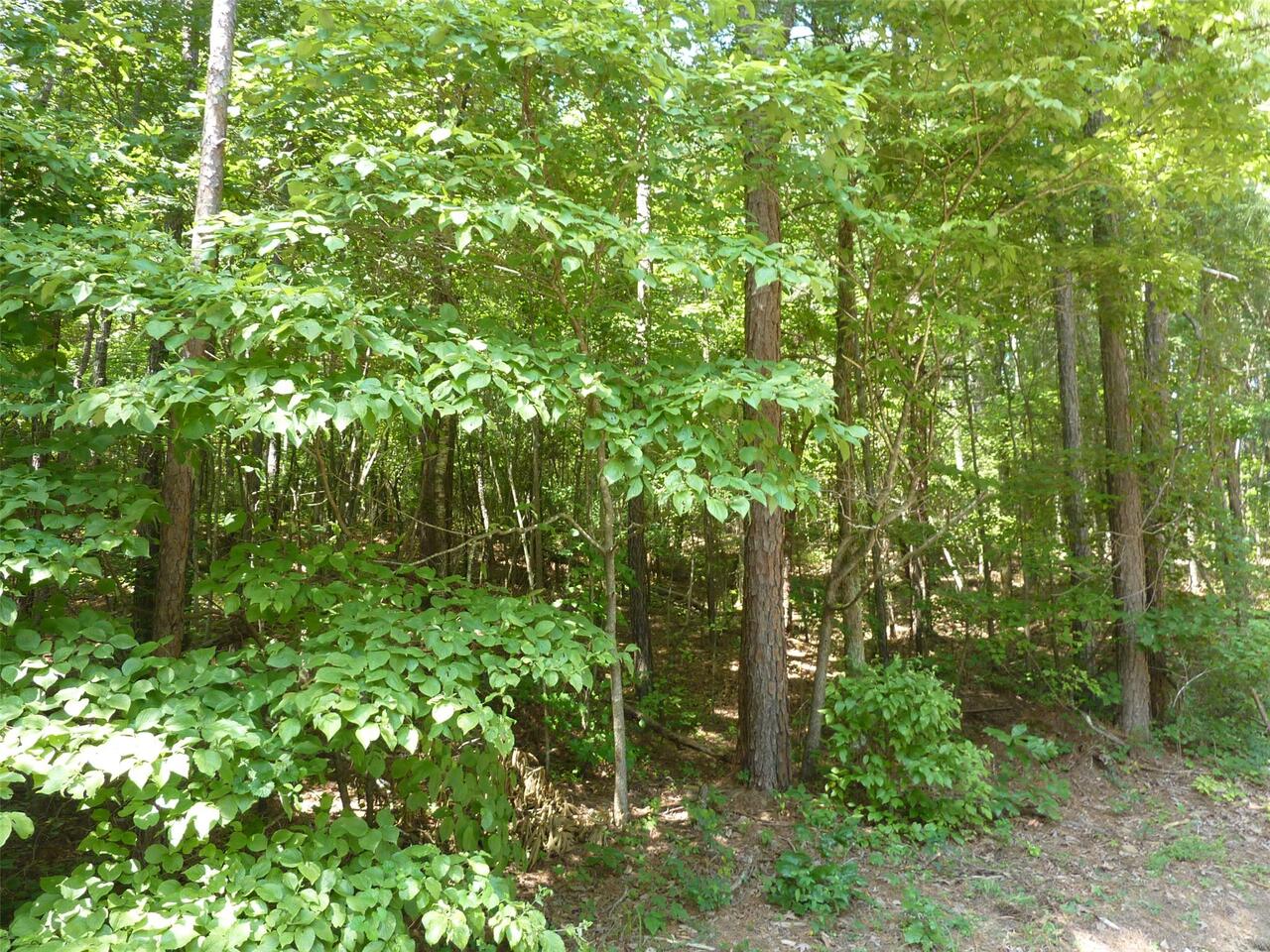 0 Texas Valley Road, Unit 11 Rome, GA 30165 - Photo 1 of 1 Gallery Image 1