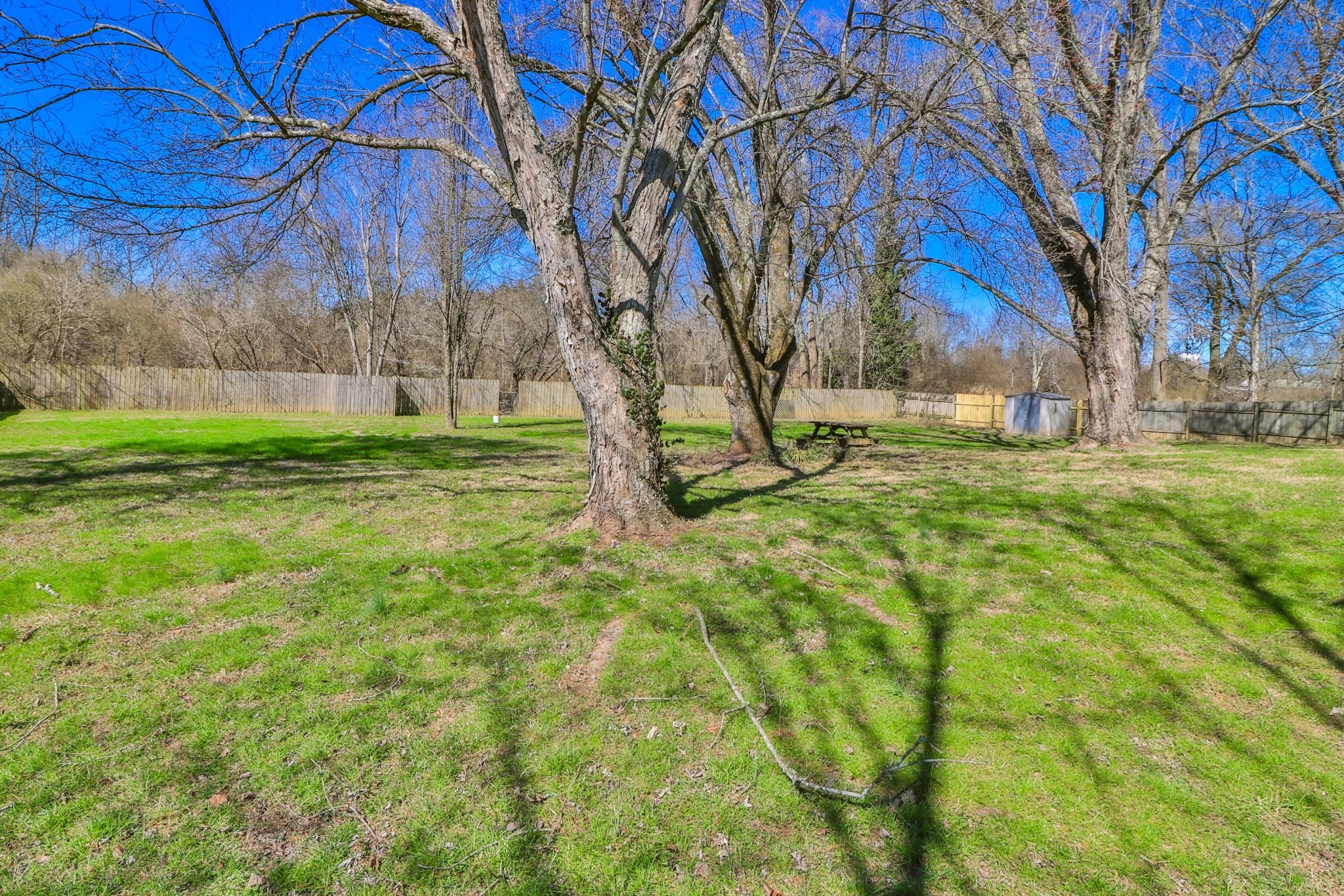 2701 Byington Beaver Ridge Road Knoxville, TN 37931 - Photo 24 of 29 a view of a yard with a tree