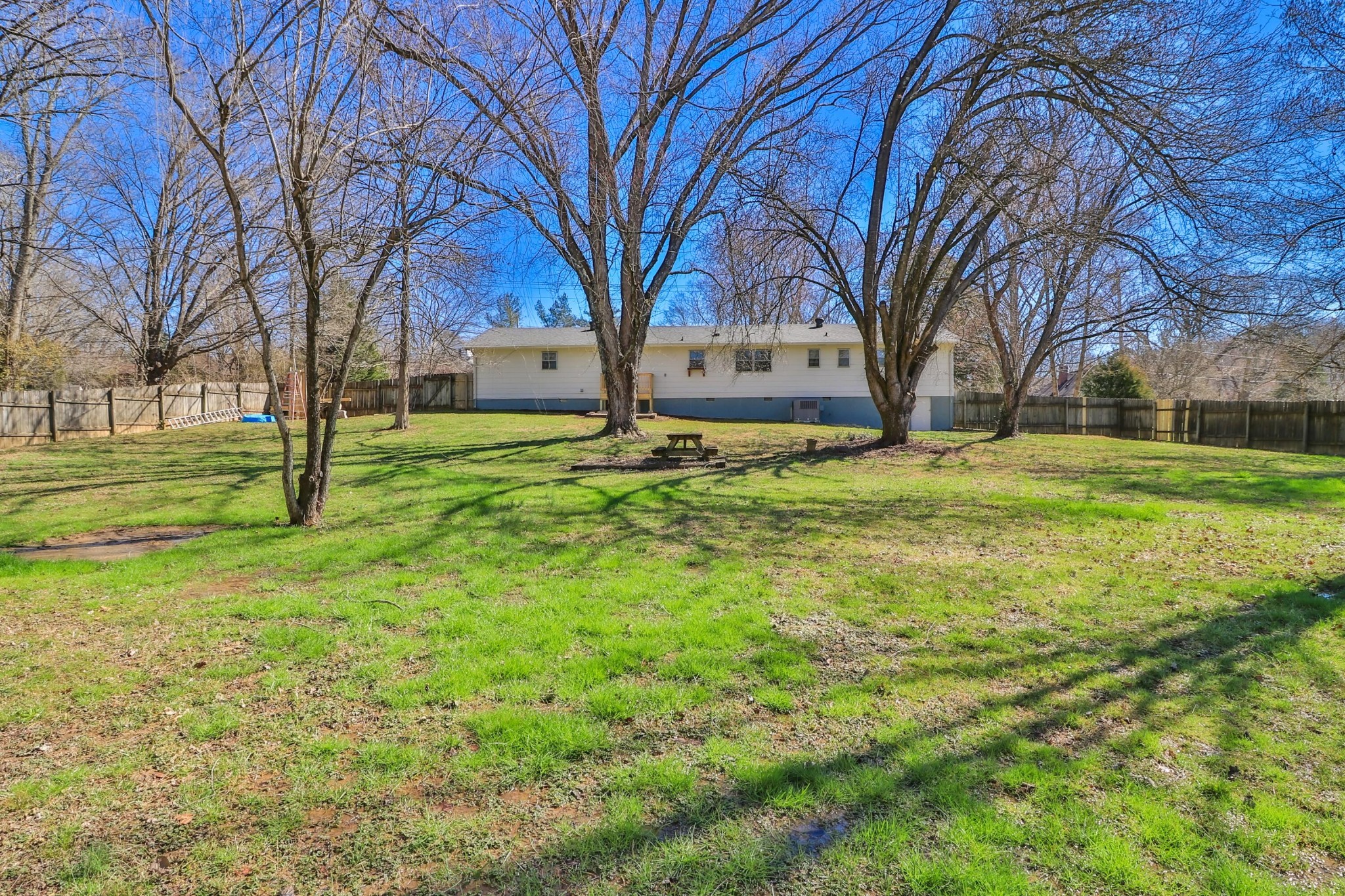 2701 Byington Beaver Ridge Road Knoxville, TN 37931 - Photo 26 of 29 a big yard with lots of green space and tree