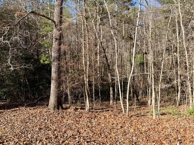 $185,000 | 969 Mountain Vista Road, Farner, TN 37333