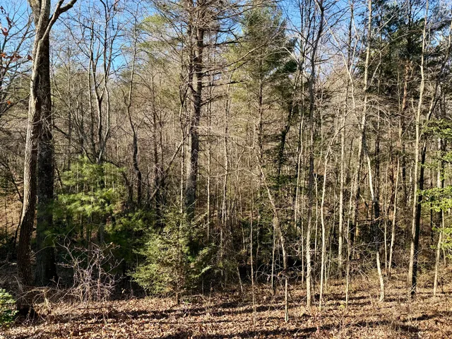 $185,000 | 969 Mountain Vista Road, Farner, TN 37333