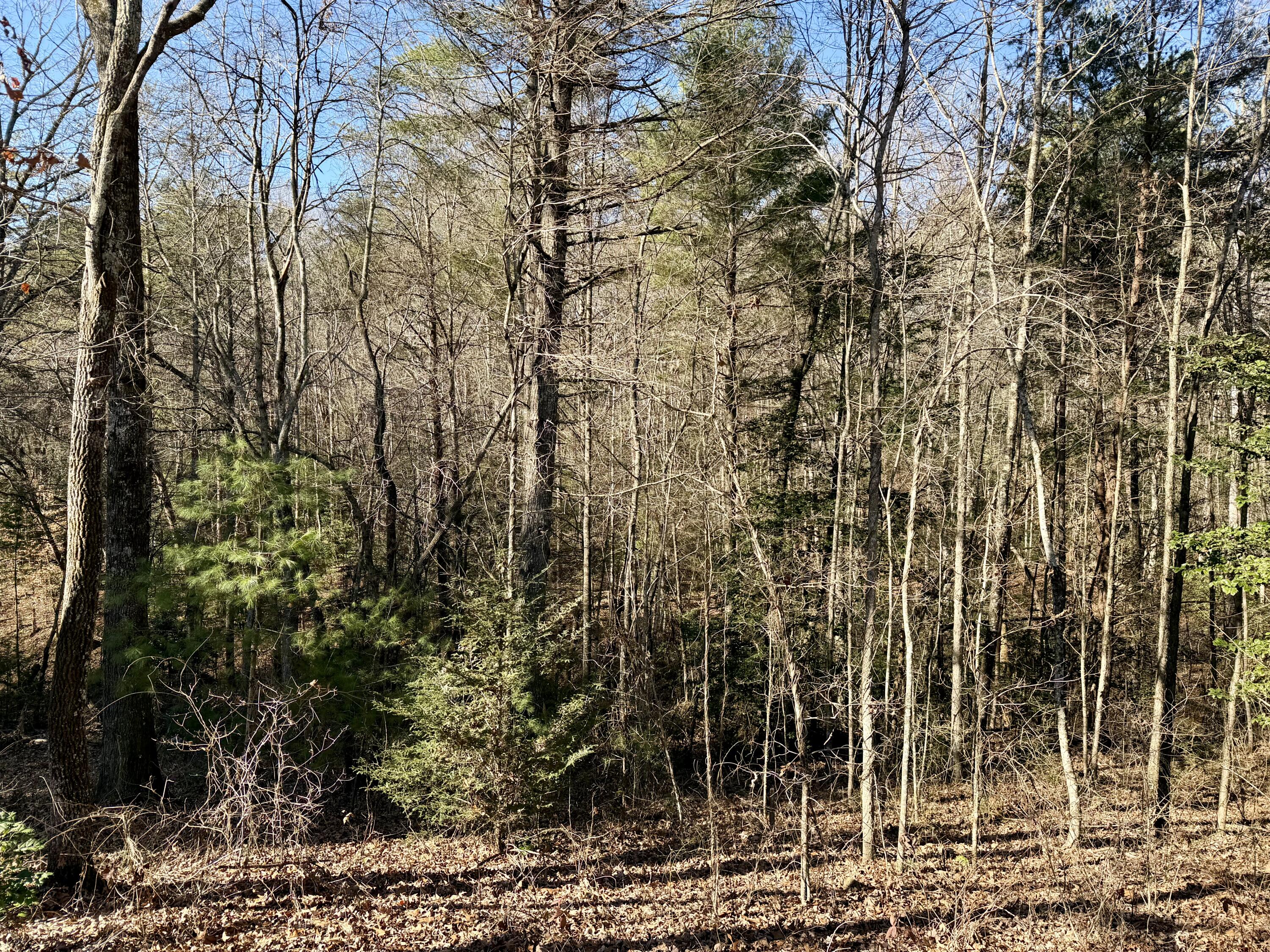 969 Mountain Vista Road Farner, TN 37333 - Photo 23 of 24 IMG_0026