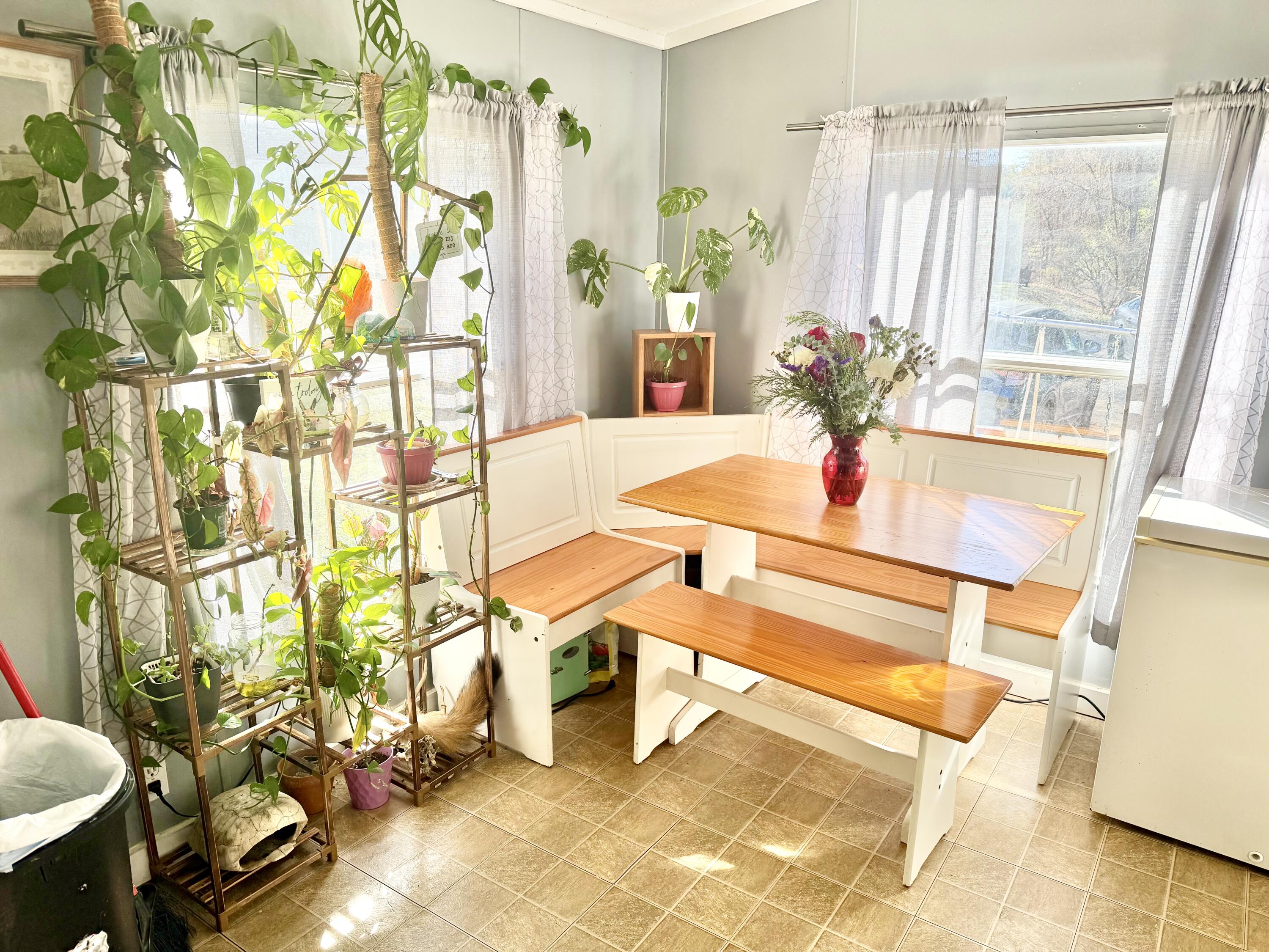 969 Mountain Vista Road Farner, TN 37333 - Photo 10 of 24 IMG_0032