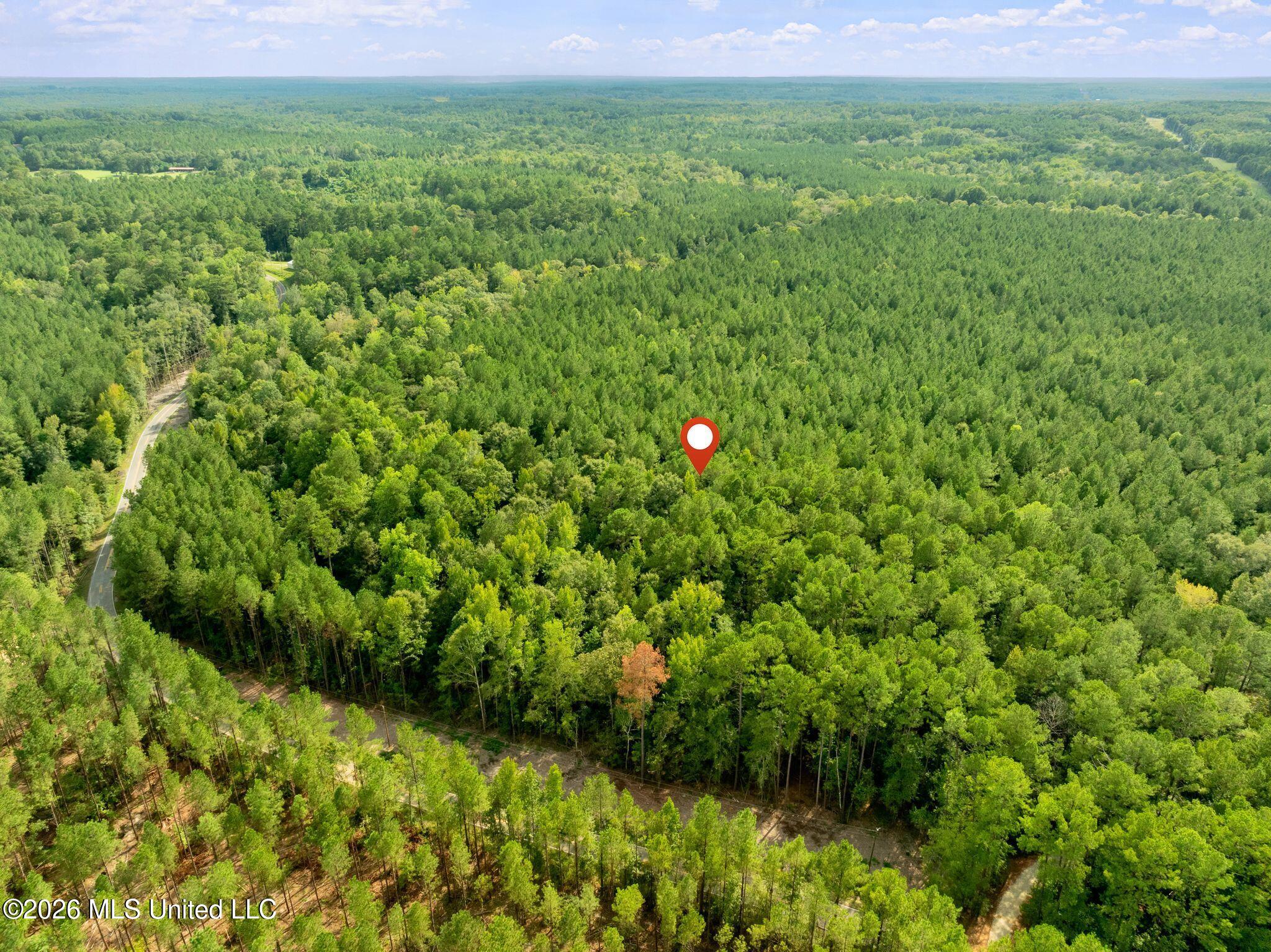 15-acres Porter Hudson Road Sumrall, MS 39482 - Photo 8 of 16 0_Porter_Hudson_Rd-8