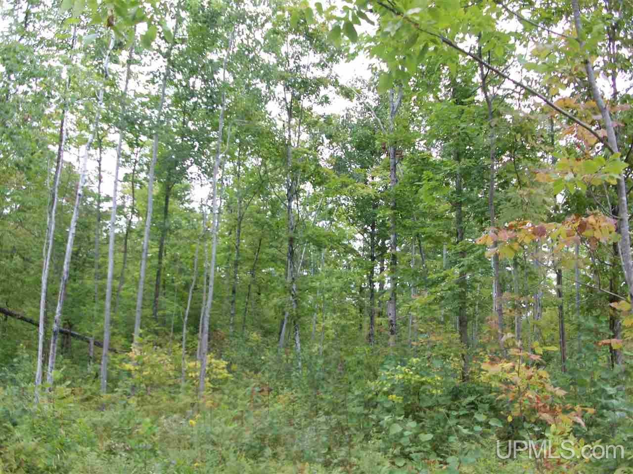 Tbd Fordville Road Foster City, MI 49807 - Photo 13 of 18