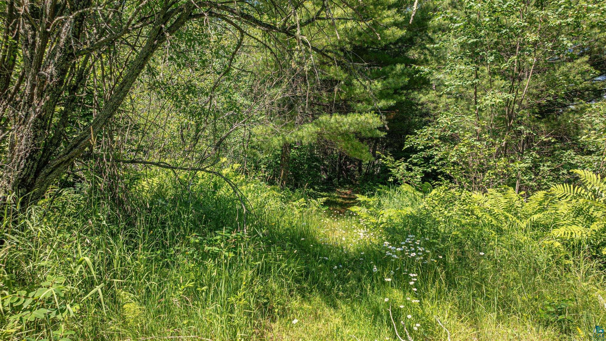 2538 Marttila Road Ely, MN 55731 - Photo 60 of 93