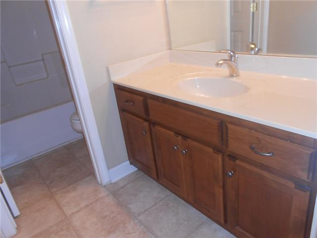 3047 Romain Trail Spring Hill, TN 37174 - Photo 9 of 19 a bathroom with a sink and vanity