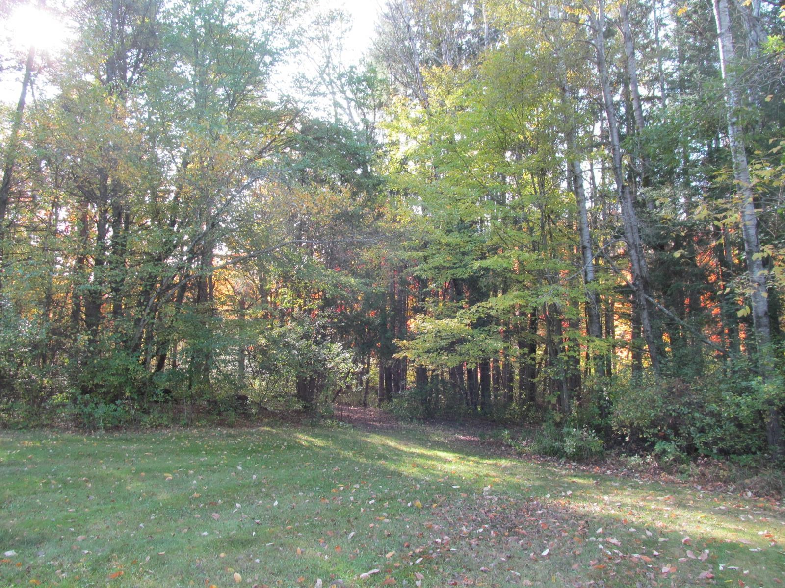 10080 East 50 Road Cadillac, MI 49601 - Photo 37 of 57