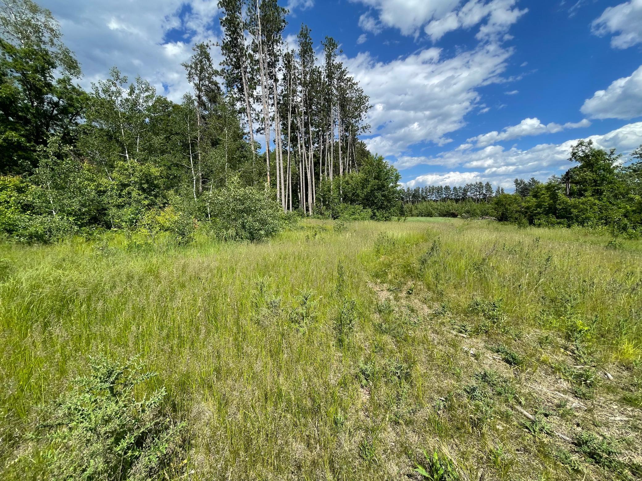 Tbd Cemetery Road Pequot Lakes, MN 56472 - Photo 5 of 10
