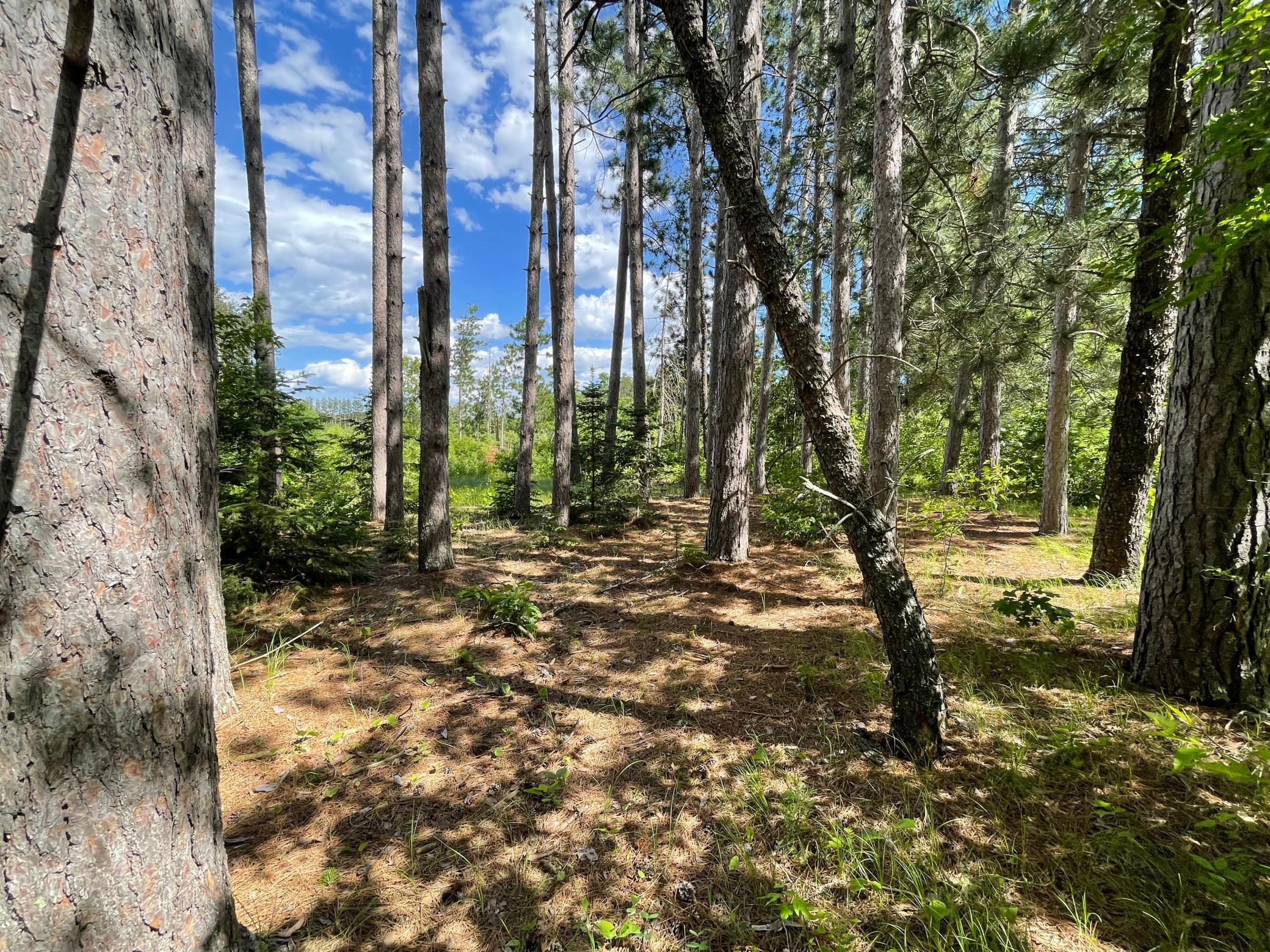 Tbd Cemetery Road Pequot Lakes, MN 56472 - Photo 8 of 10