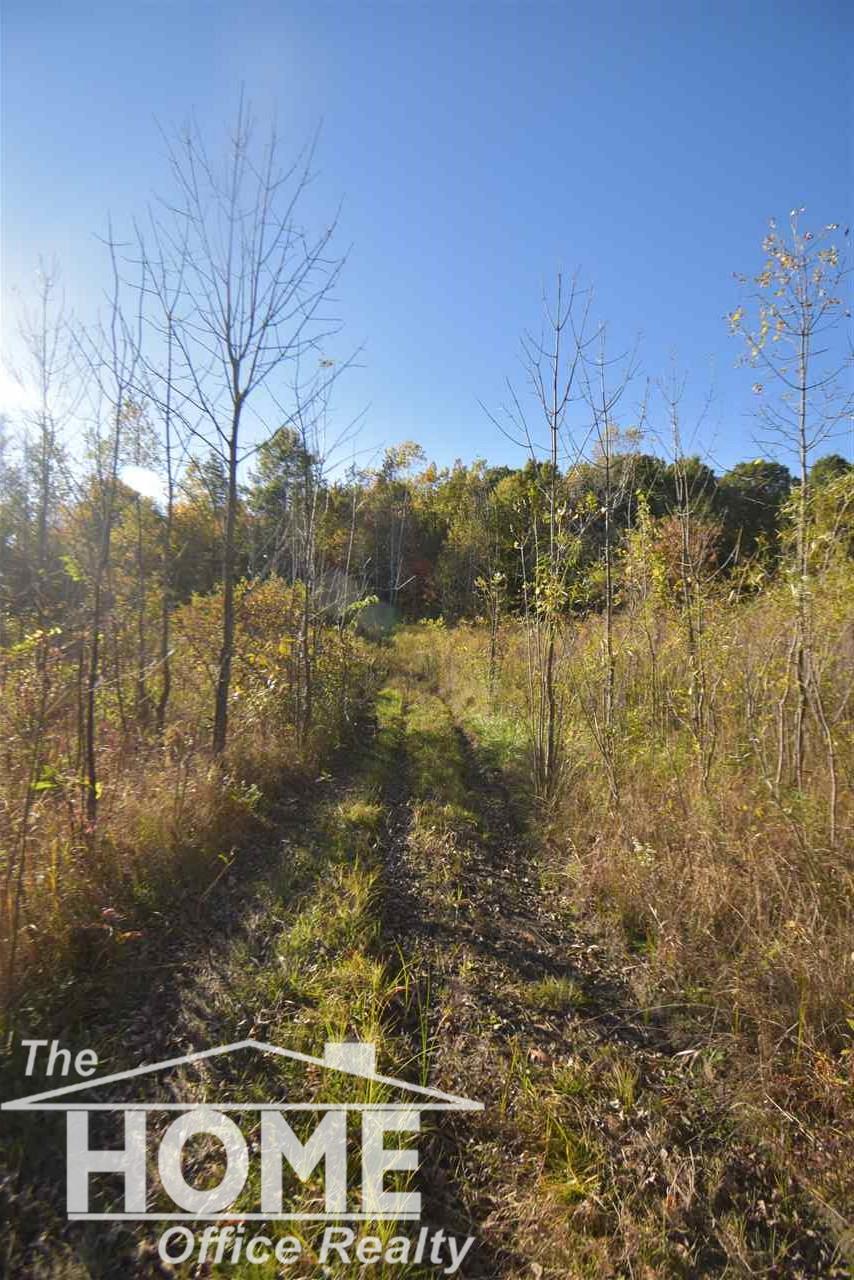 15584 Stuart Road Chesaning, MI 48616 - Photo 26 of 27