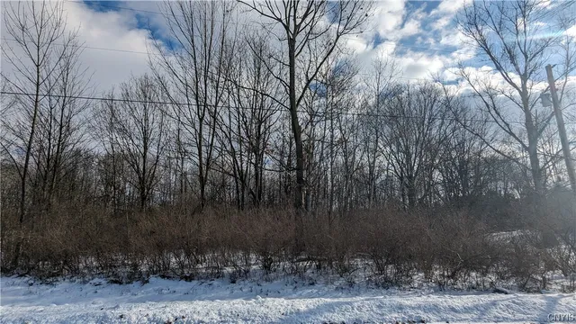 $36,000 | 0 Westland Drive, Bouckville, NY 13310