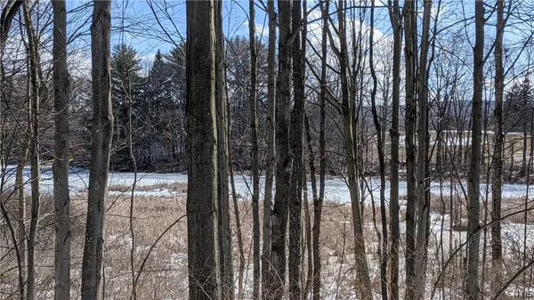 $36,000 | 0 Westland Drive, Bouckville, NY 13310