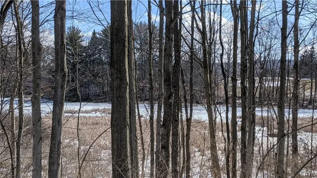 $36,000 | 0 Westland Drive, Bouckville, NY 13310