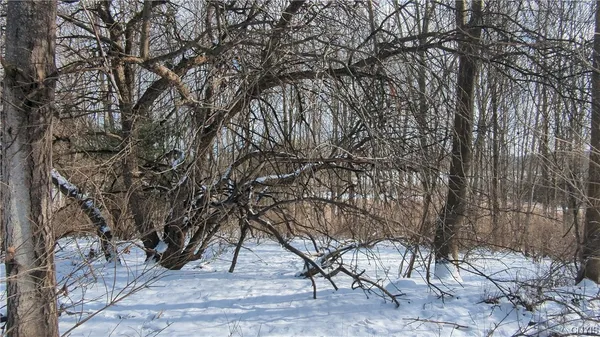 $36,000 | 0 Westland Drive, Bouckville, NY 13310