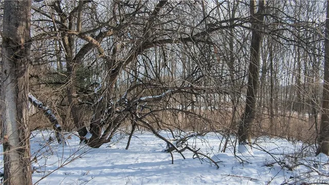 $36,000 | 0 Westland Drive, Bouckville, NY 13310