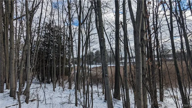 $36,000 | 0 Westland Drive, Bouckville, NY 13310