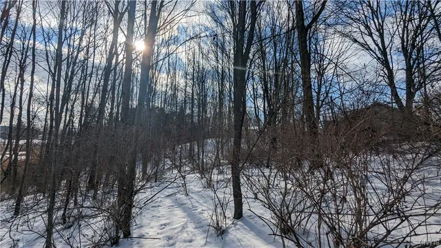 $36,000 | 0 Westland Drive, Bouckville, NY 13310