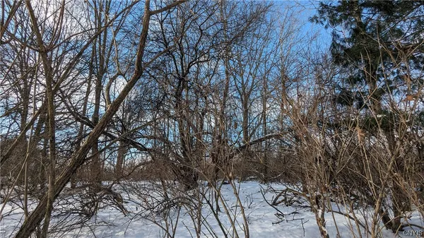 $36,000 | 0 Westland Drive, Bouckville, NY 13310
