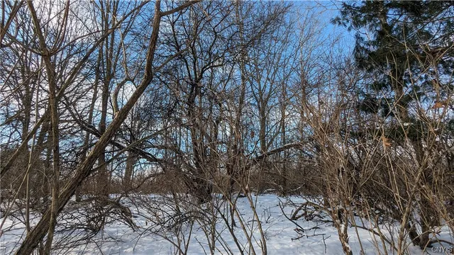 $36,000 | 0 Westland Drive, Bouckville, NY 13310