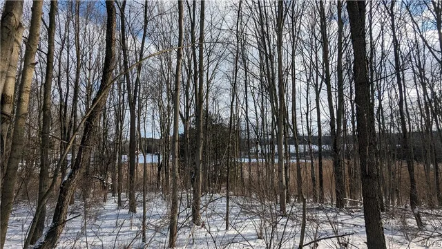 $36,000 | 0 Westland Drive, Bouckville, NY 13310