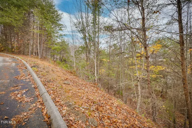 $25,000 | 495 Oak Forest Place, Unit 20, Kingsport, TN 37664