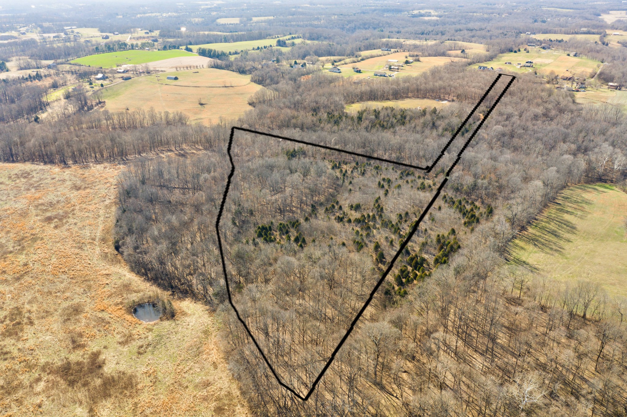 0 Battle Creek Road Springfield, TN 37172 - Photo 2 of 20