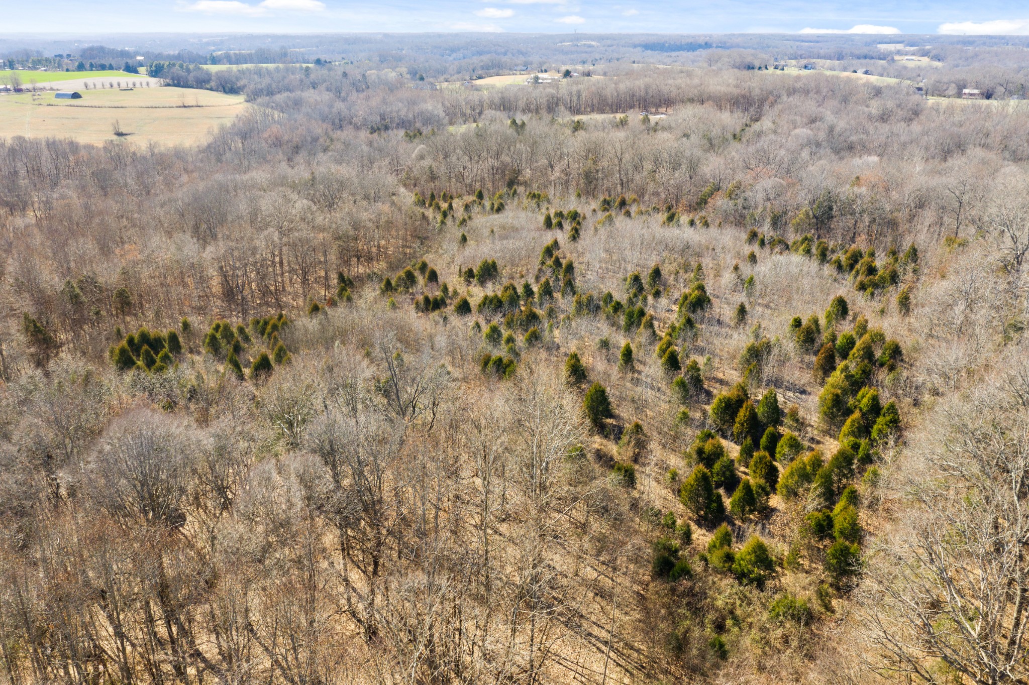 0 Battle Creek Road Springfield, TN 37172 - Photo 11 of 20 an aerial view of forest